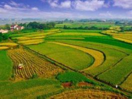 河北省今年完成农用地土壤污染状况详查
