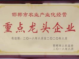 赵王集团旗下两家公司上榜 “邯郸市农业产业化市级重点龙头企业”