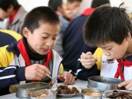 今秋河北省又有277万农村小学生可享营养餐