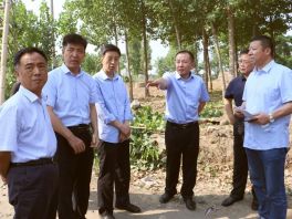 邯郸市委常委、副市长高建强对铁路沿线环境安全隐患整治工作进行调研
