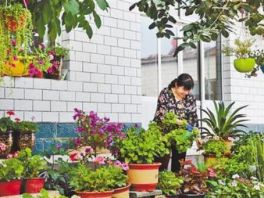 沧州今年将创建20万户“美丽庭院”