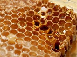 亚洲最大蜂蜜加工基地廊坊百花蜂产品项目正式投产