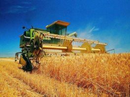 中国相关企业暂停新的美国农产品采购