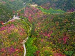 井陉：仙台山漫山红叶好个秋