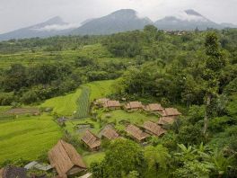 503个村成为河北首批森林乡村