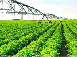 河北省生态农业与耕地质量提升示范工程启动