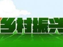 河北唐山路南区“四个一线”促乡村振兴