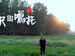 我家的故事——组织的嘱托