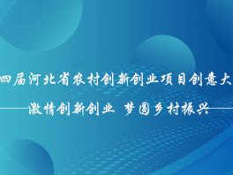 宁晋县在省农村创新创业项目创意大赛中获奖