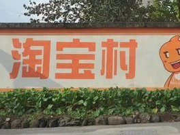 宁晋县10个村3个镇分别被认定为2020年淘宝村/镇