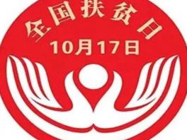 宁晋县教育系统开展“国家扶贫日”系列活动