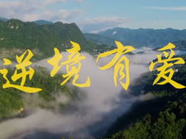 我家的故事——逆境有爱