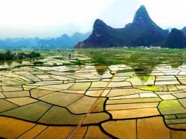 河北省认定45个地区为特色农产品优势区