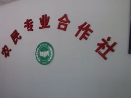 农民合作社，这里有一封倡议书给你