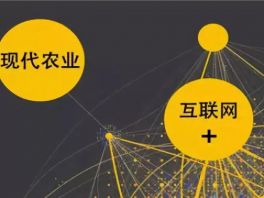 推进技术改造 提升创新能力 石家庄市产业转型升级成效明显