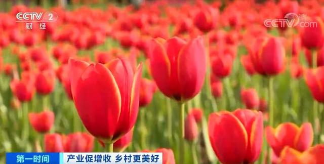 农业农村部：打造乡村旅游精品工程 建设乡村产业集聚区