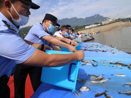 2022年水生生物增殖放流活动 在全国范围同步举行