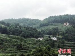 贵州修文“绿色崛起” 打造西部百强县