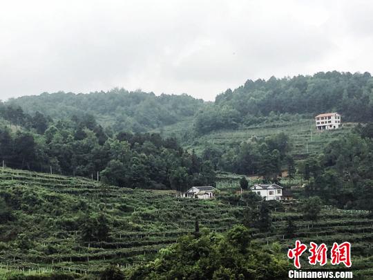 贵州修文“绿色崛起”打造西部百强县
