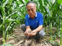 “老农技”王贵满扎根黑土34年 用科技让农民走上致富之路