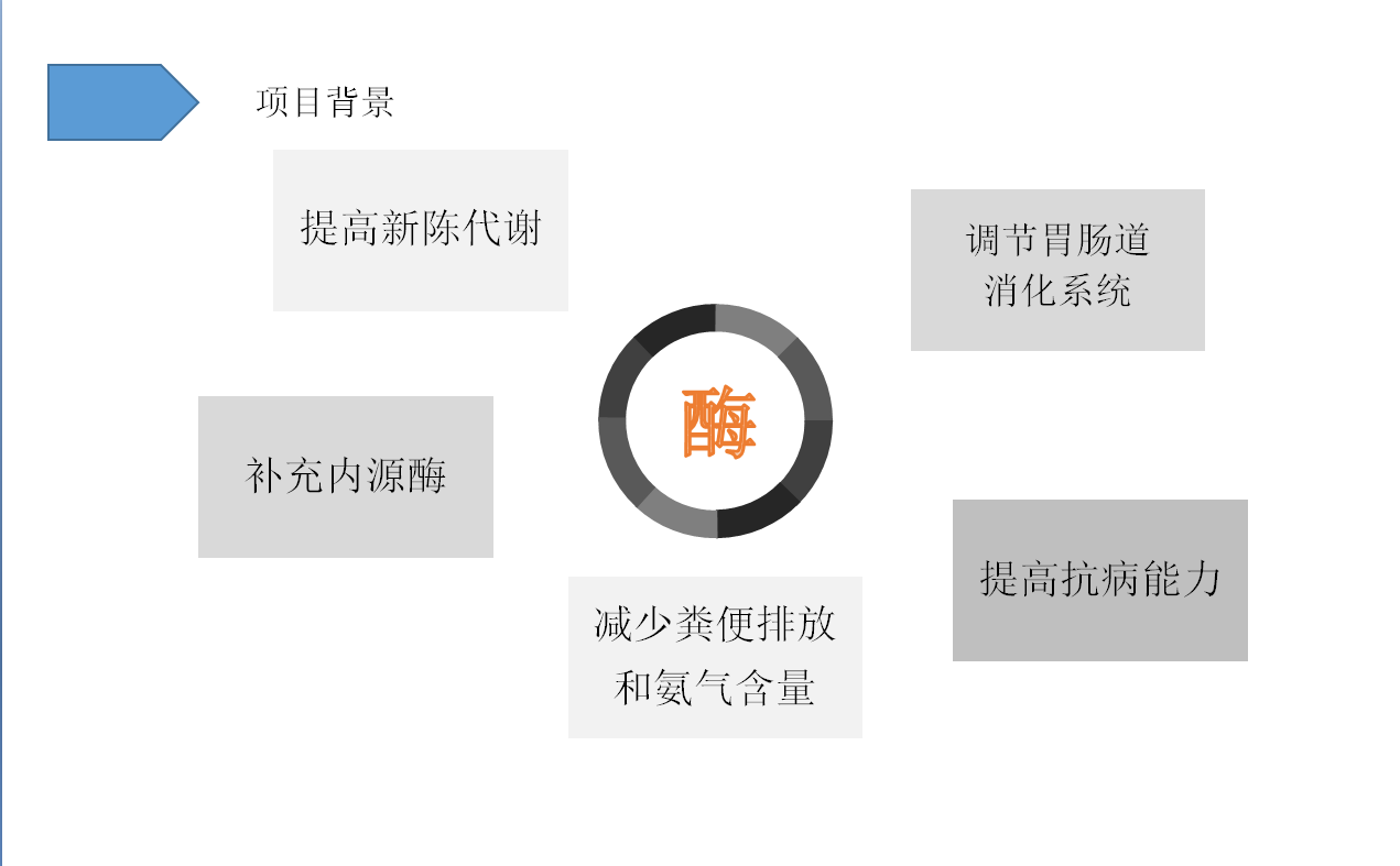 5c189c672400a.png